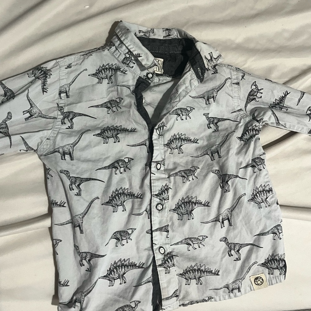 Dinsosaur top